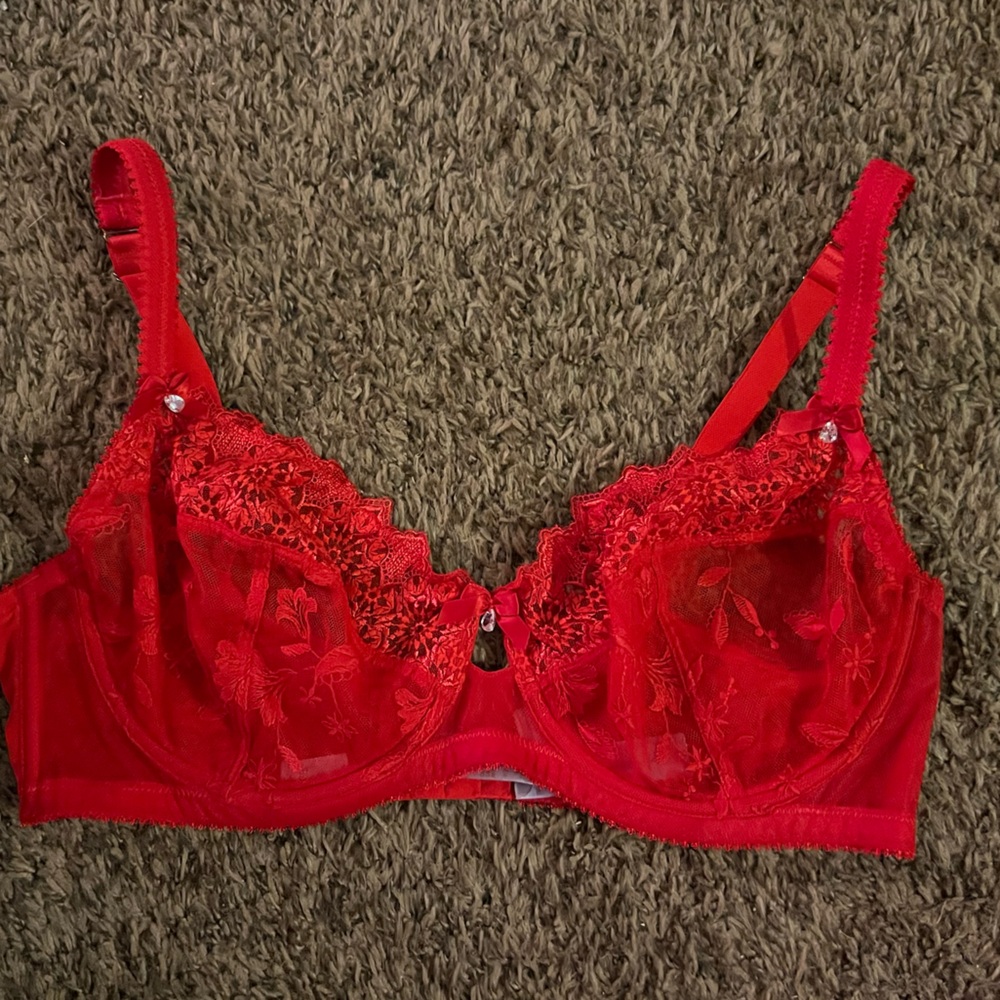 Savage X Fenty 38DD Lace Underwire Bra Rhinestone Bow